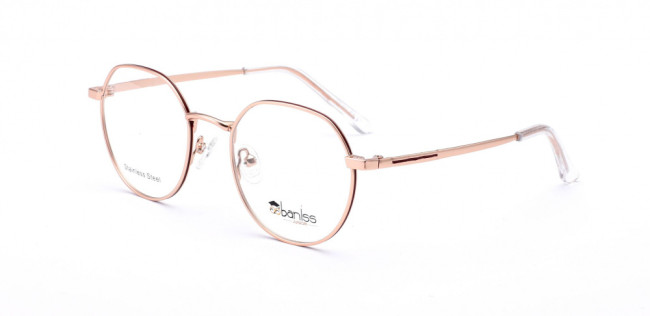 BANISS BRJ2121 C04