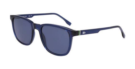 L6029S