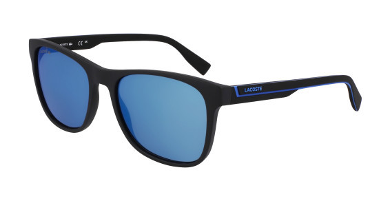 L6031S L6031S