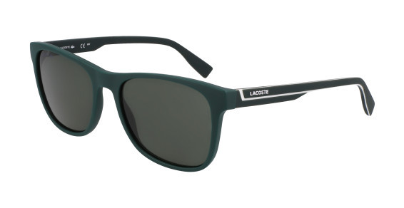 L6031S