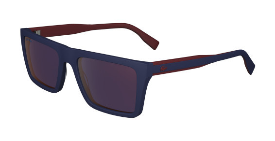 L6009S