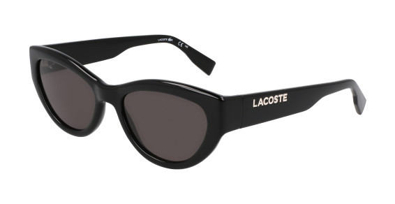 L6013S L6013S