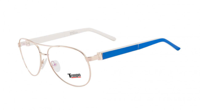 Очки ТЕМРО X115 C3