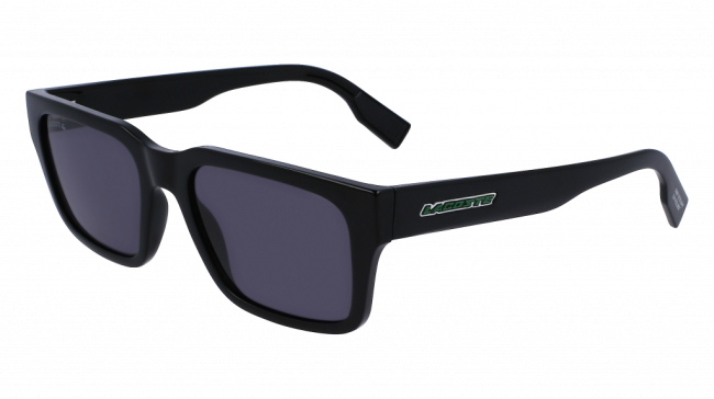 L6004S
