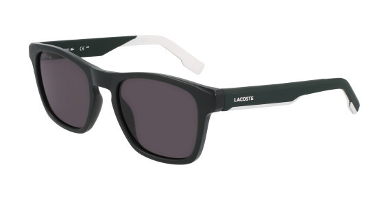 L6018S L6018S